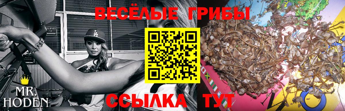 ГАШ  Вход с VPN  Тверь  NBOMe  Мефедрон   Конопля 