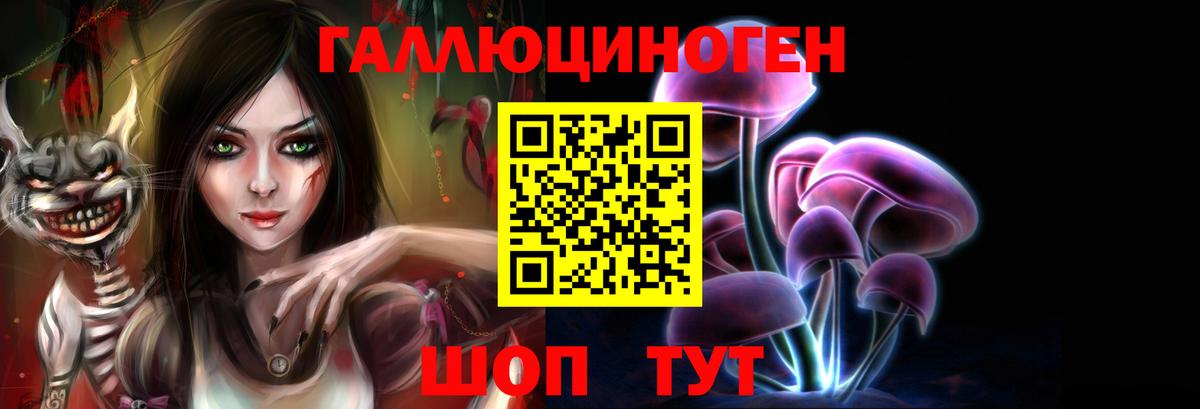 Псилоцибиновые грибы Cubensis Тверь